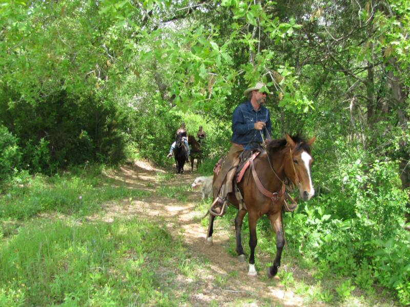 3 horse riders on trail