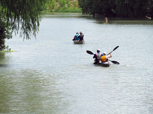 Colorado River 100 canoe race